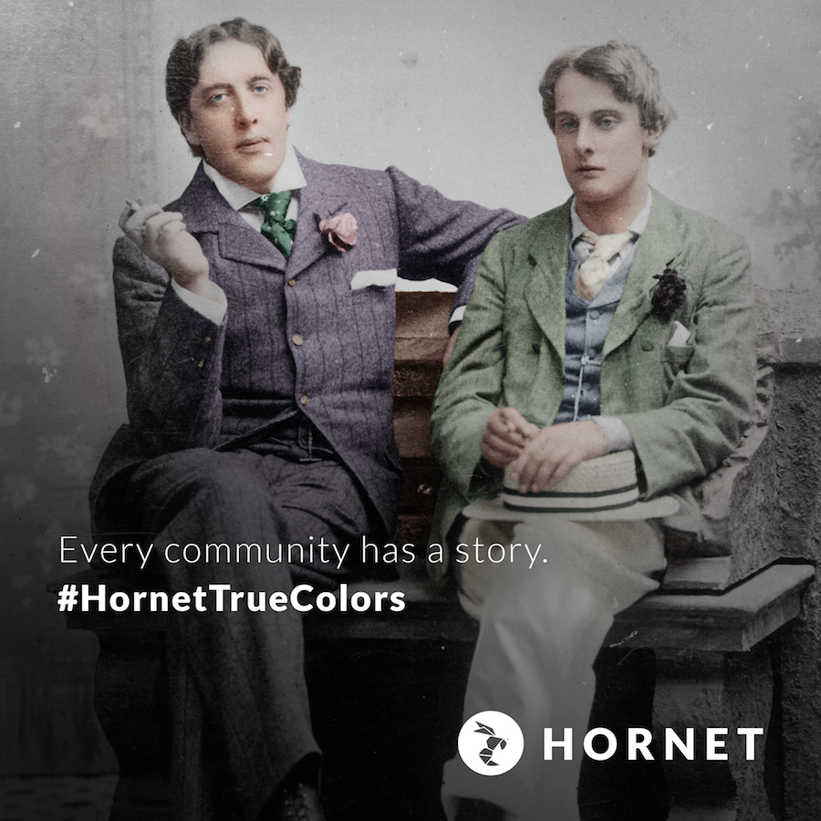 hornet true colors 4