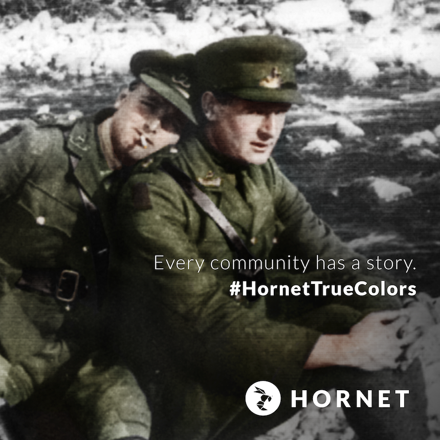 hornet true colors 3