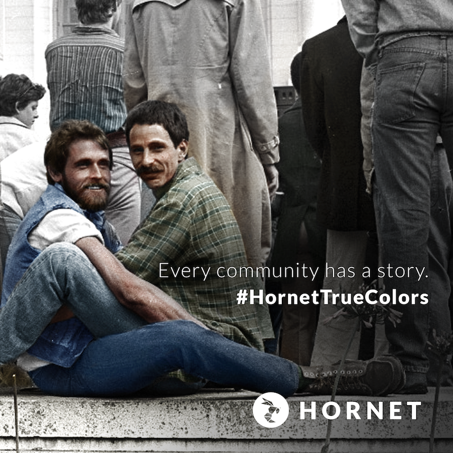 hornet true colors 2