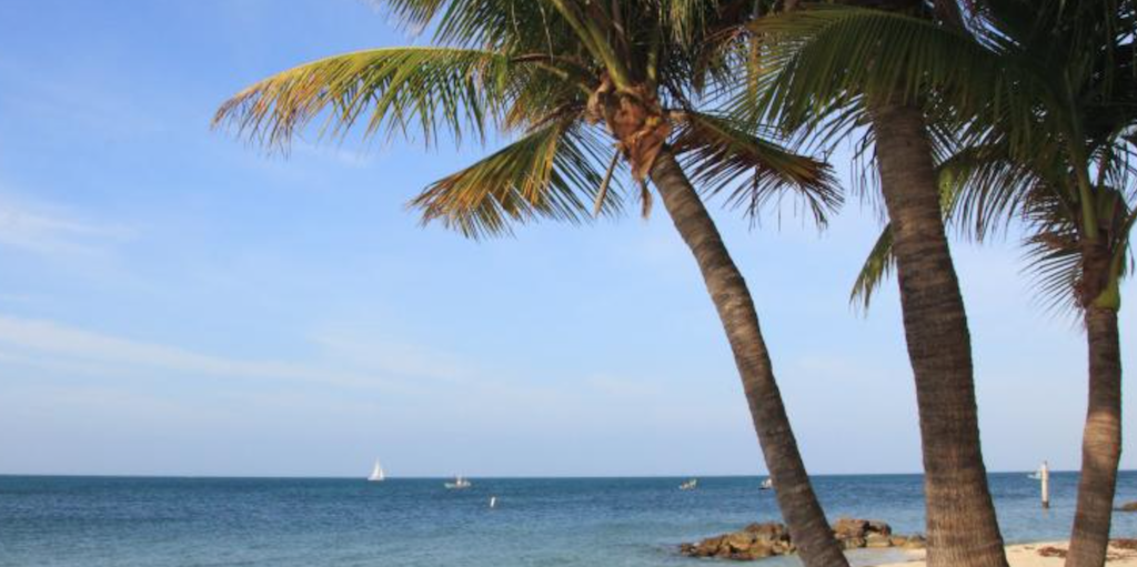 gay-key-west-zachary-taylor-park เกย์ key west
