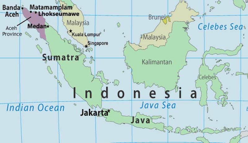 golpizas en indonesia