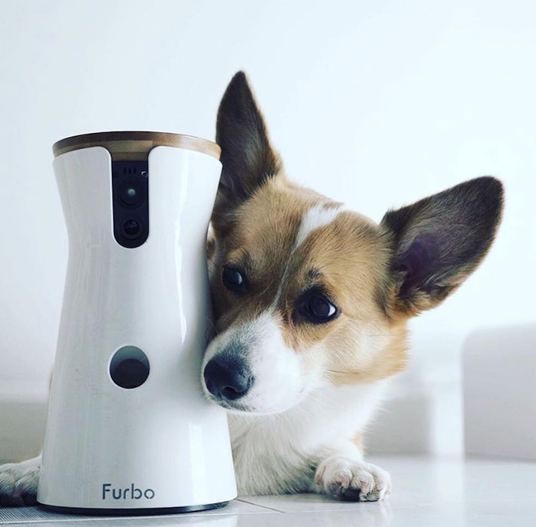 pets essentials furbo dog camera