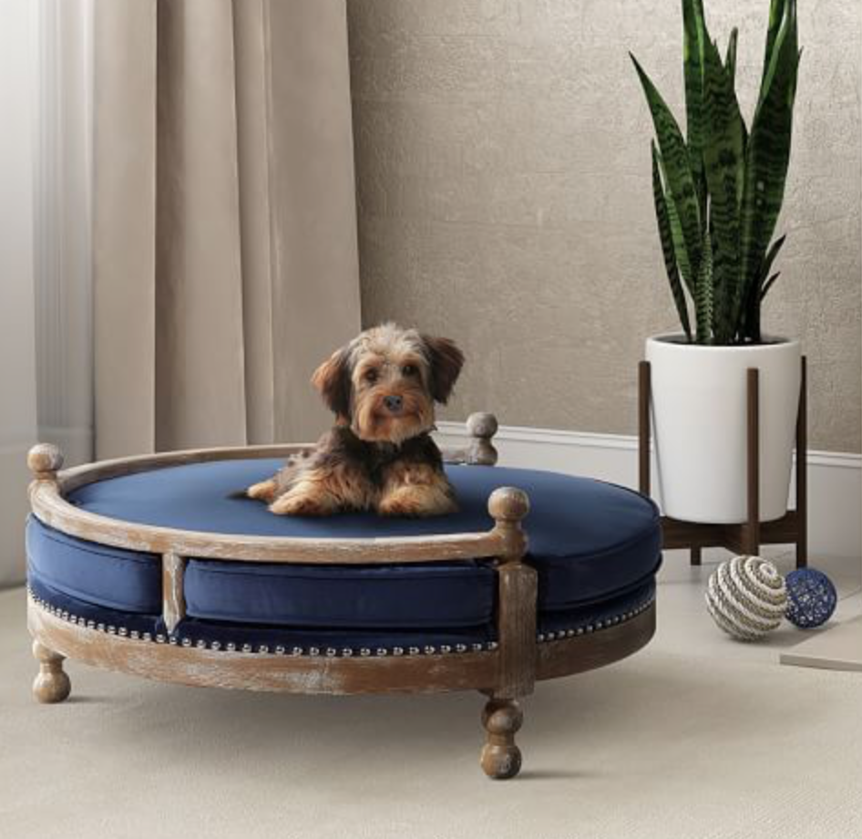 pet products designer bed