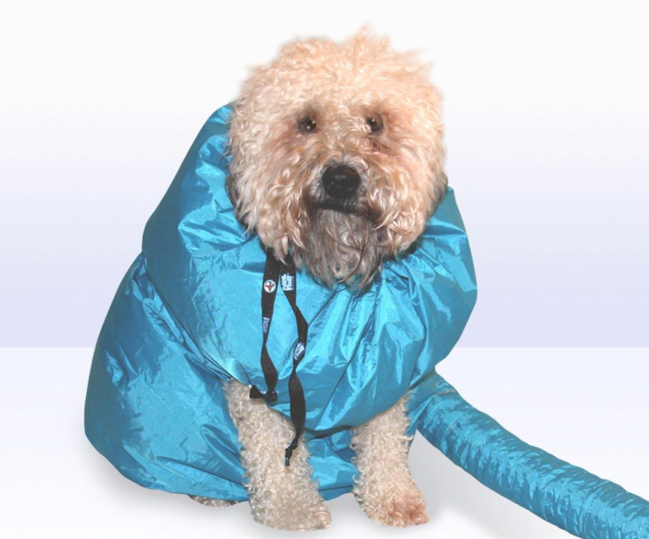 pet products dog dryer
