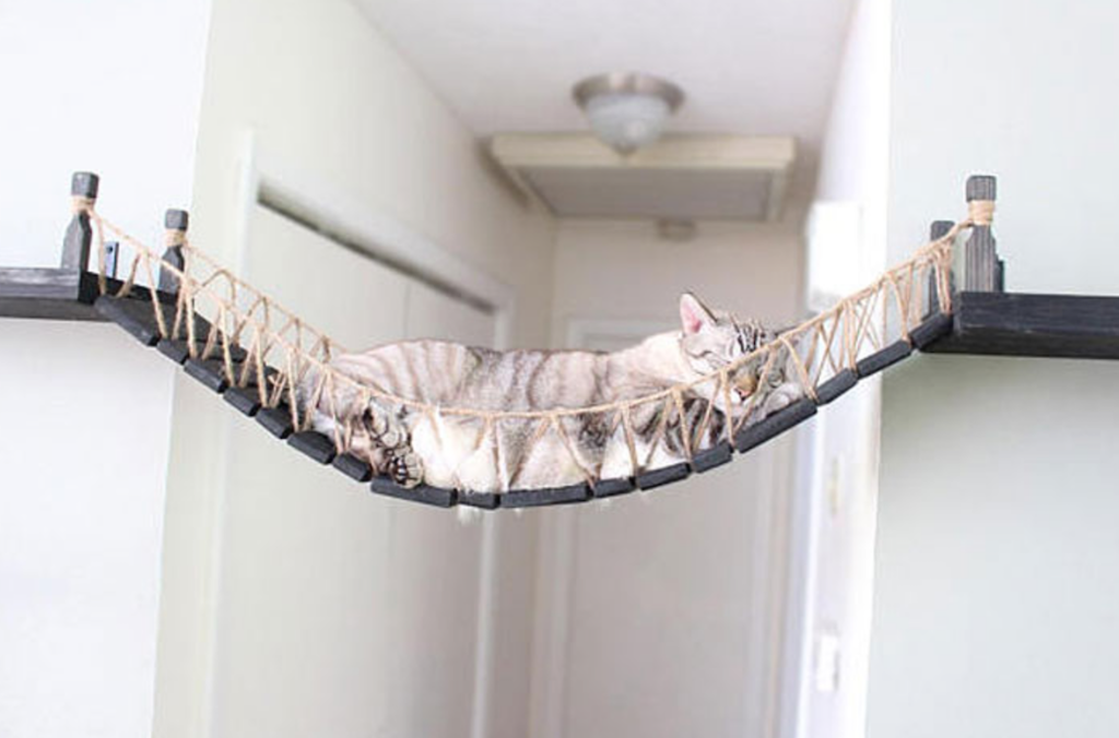 pet products cat bridge