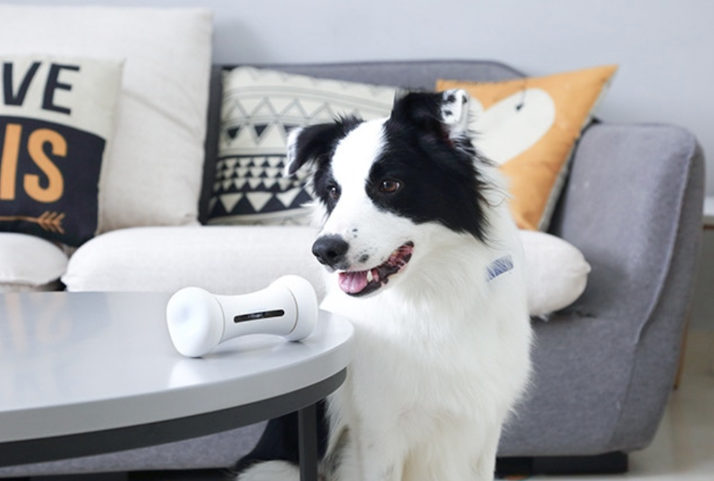 pet products tech bone