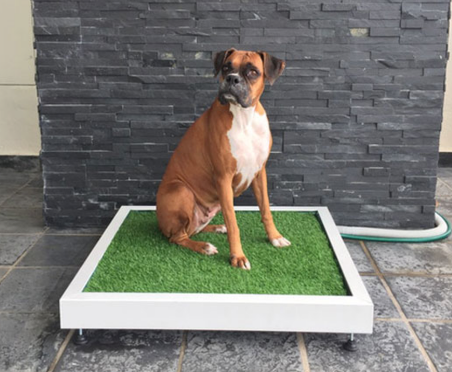 pet products dog toilet