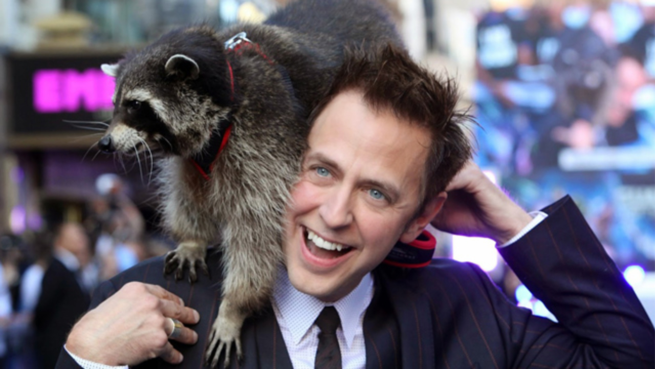 james gunn's firing raccoon