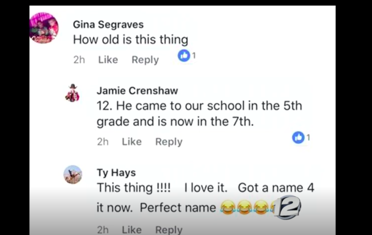 Oklahoma School