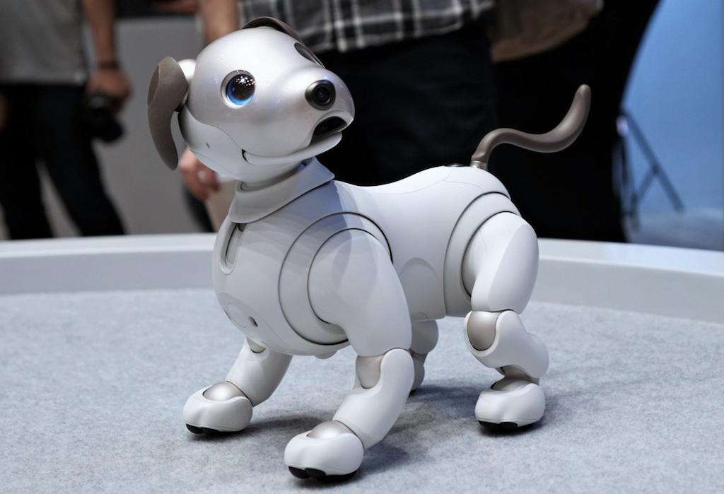 current obsessions robo pup robo-pup