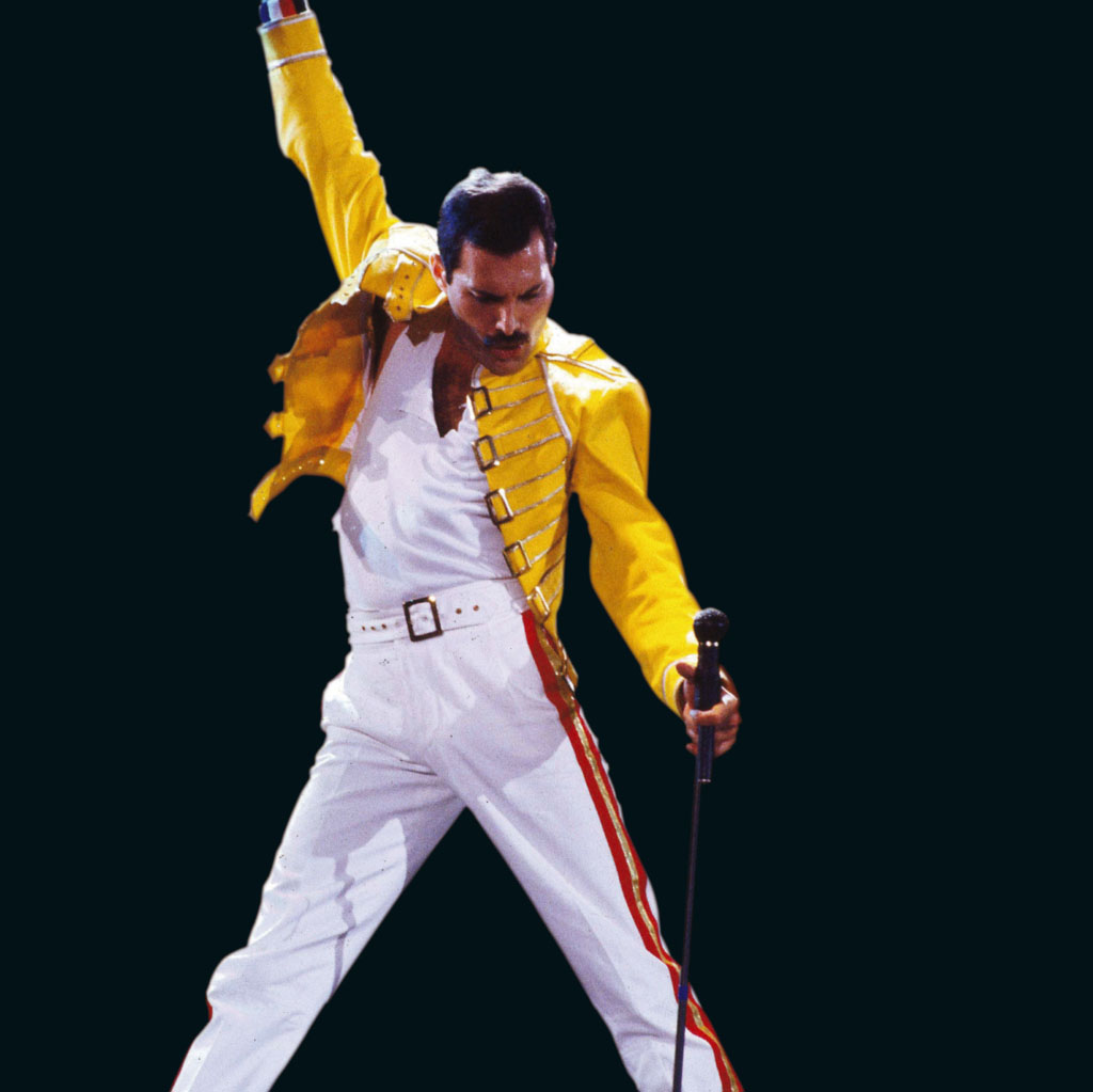 freddie mercury inline