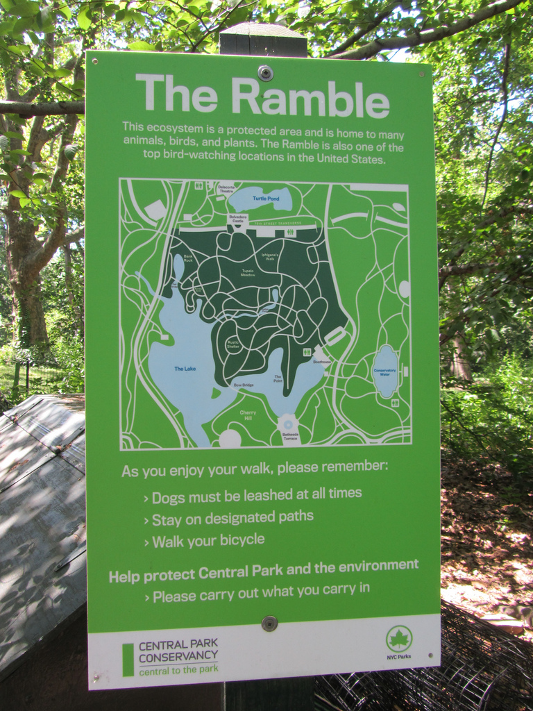accidental warlocks the ramble