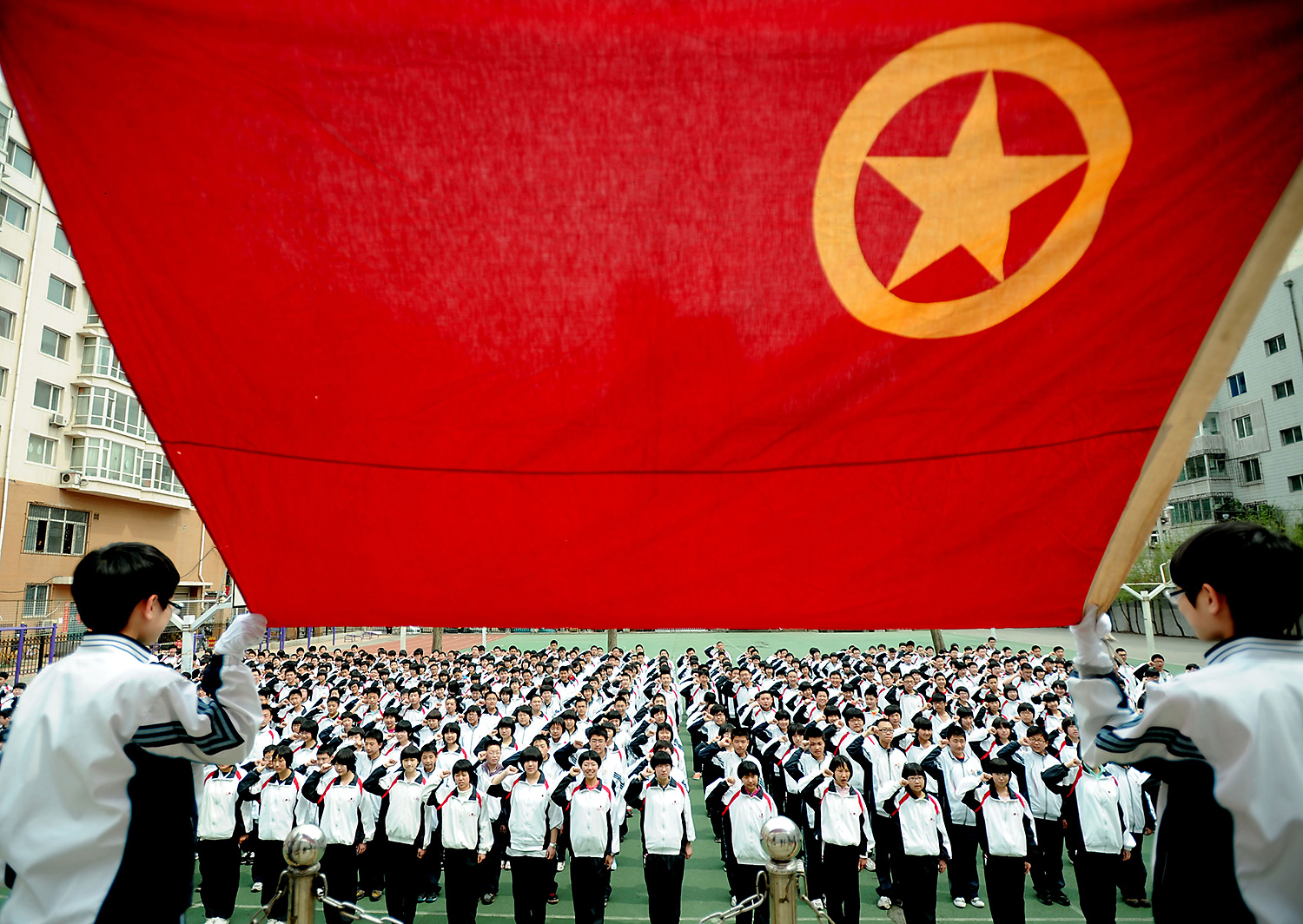 comrade 2