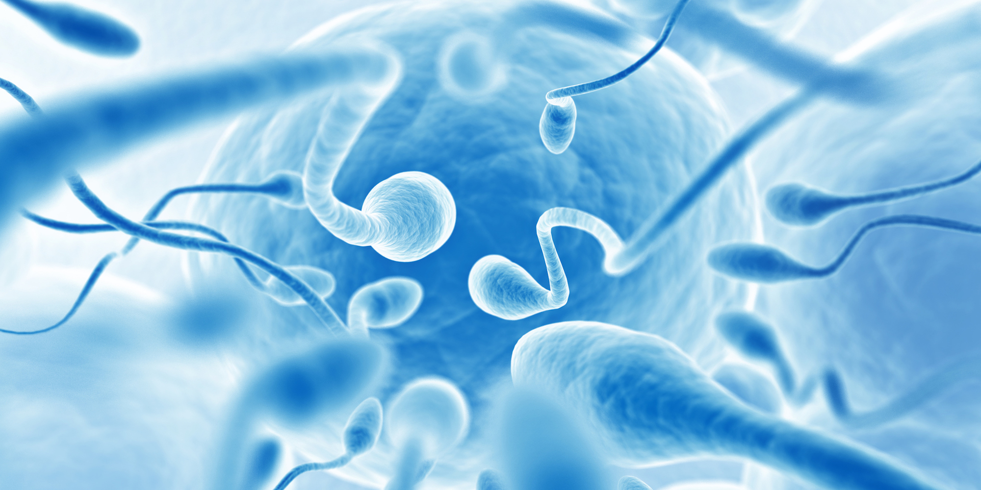 lower sperm count infertile men teaser