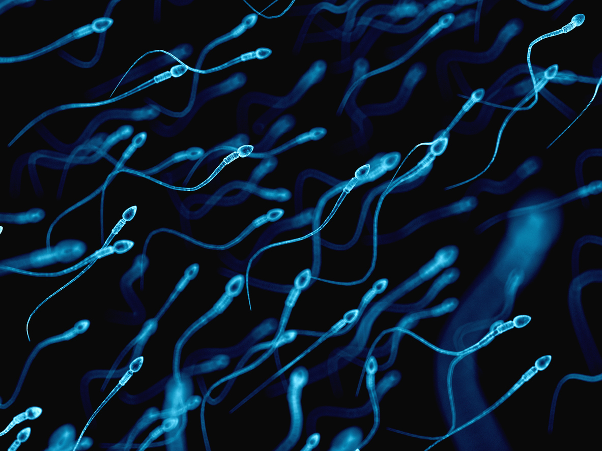 lower sperm count infertile men 2