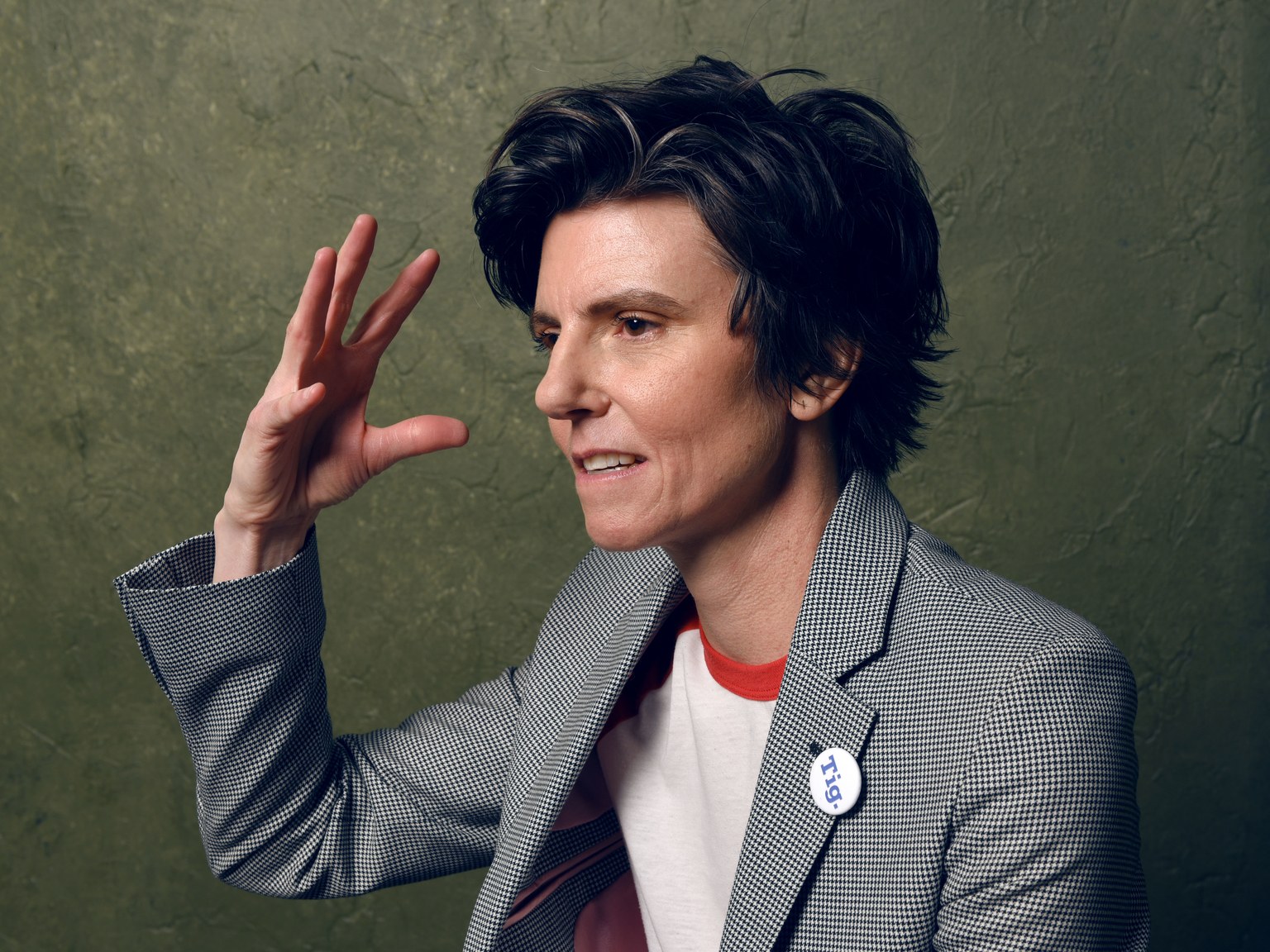 tig notaro queer emmy hosts