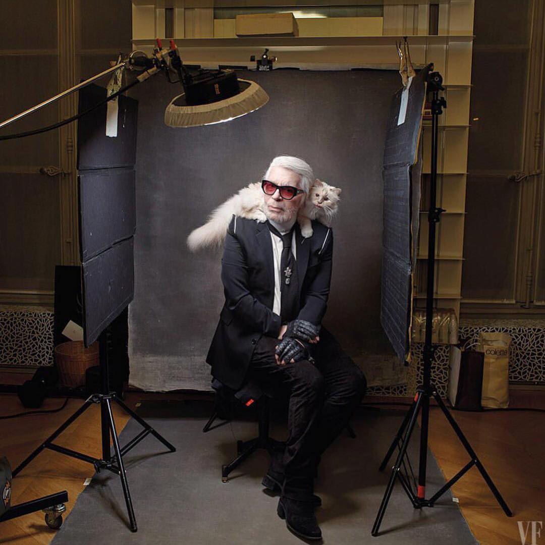 karl lagerfeld gay celebrity pets