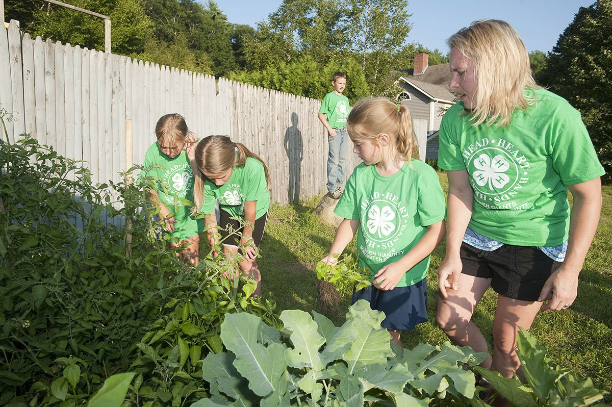 4-h kids