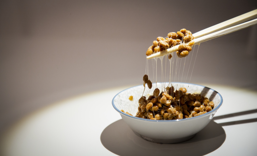 disgusting food museum 1