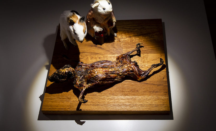 disgusting food museum 4