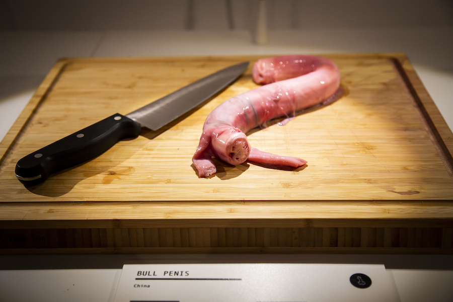 disgusting food museum 6