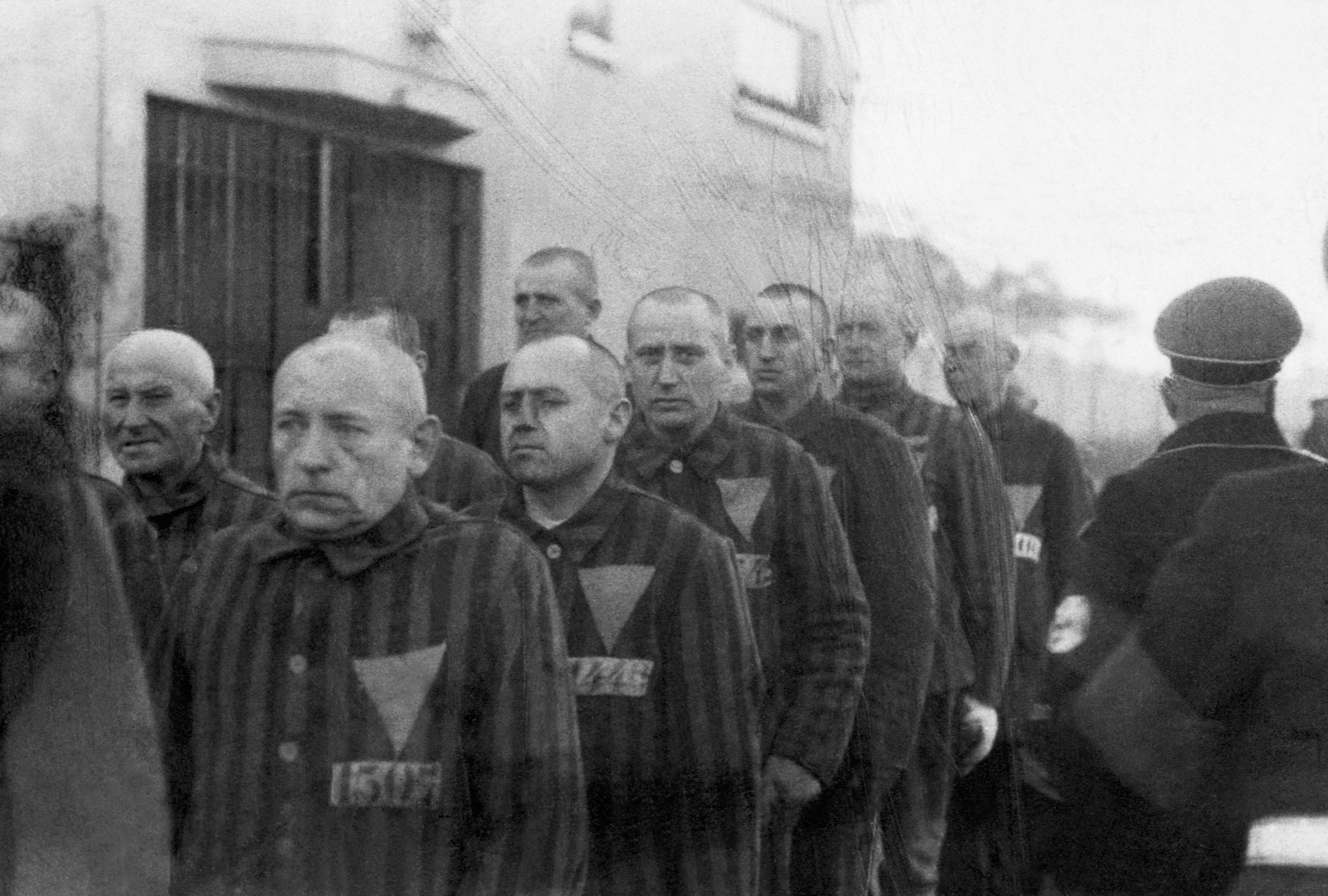 reichstag fire decree concentration camp gays