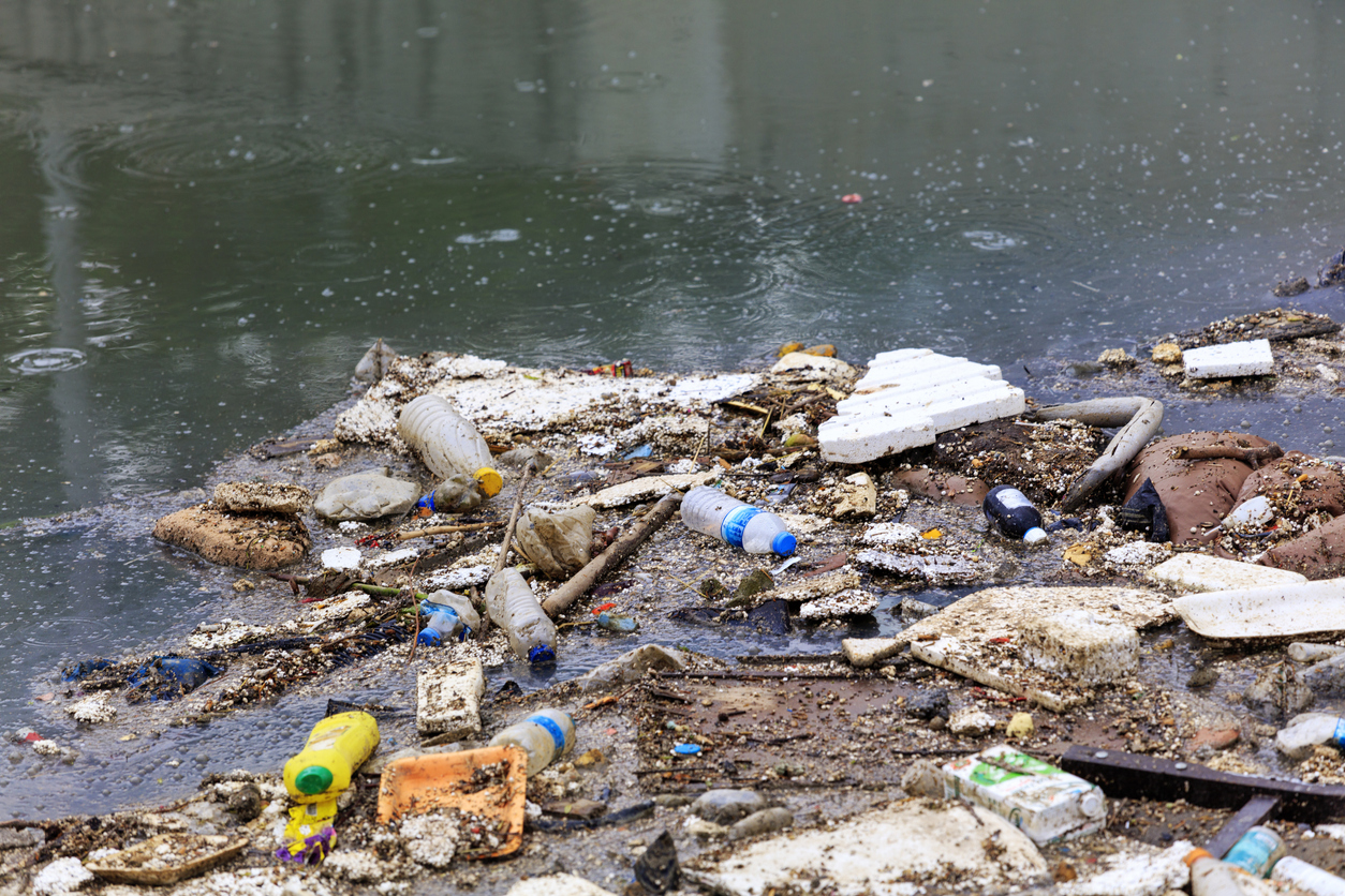 #TrashTag Challenge 2