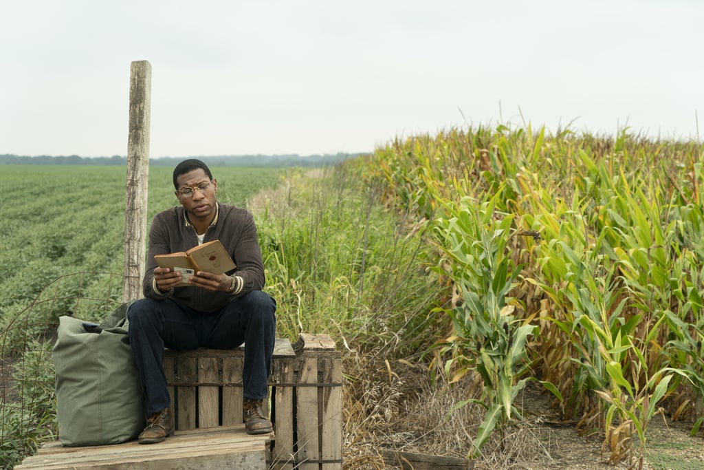 sexy jonathan majors gay role mcu, lovecraft country, hbo 3