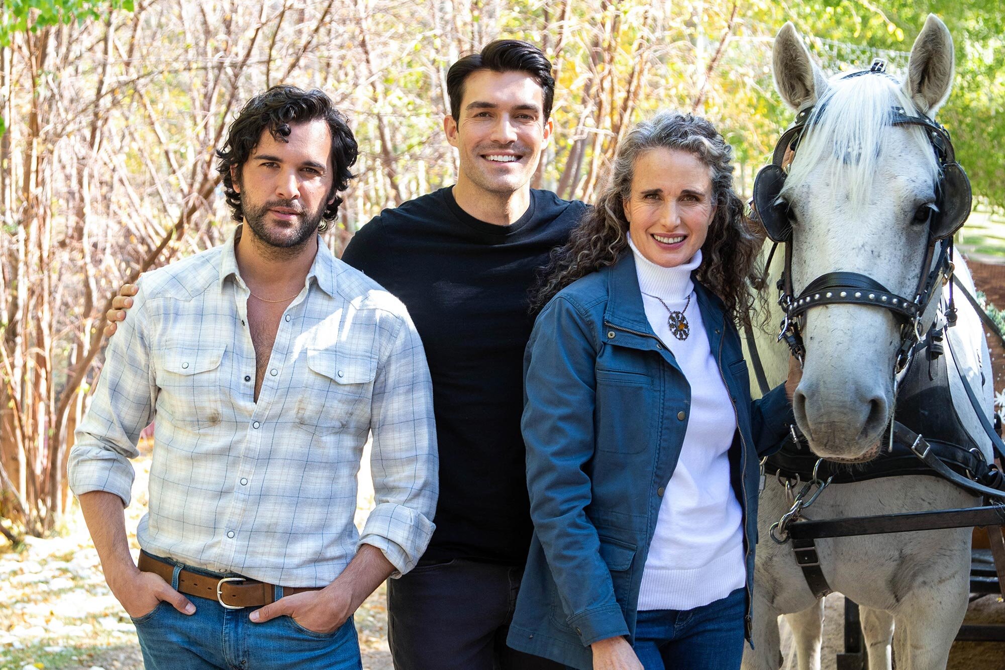 gay christmas movie, dashing in december