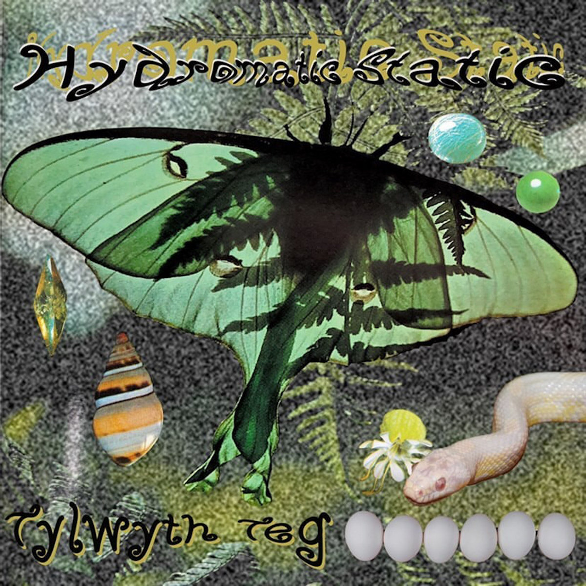 tylwyth teg debut album