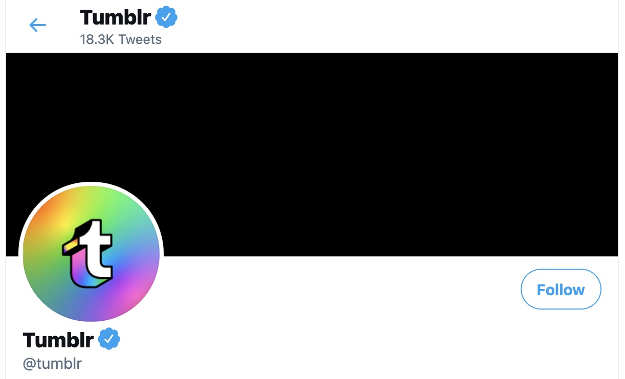 queer tumblr queer twitter profile