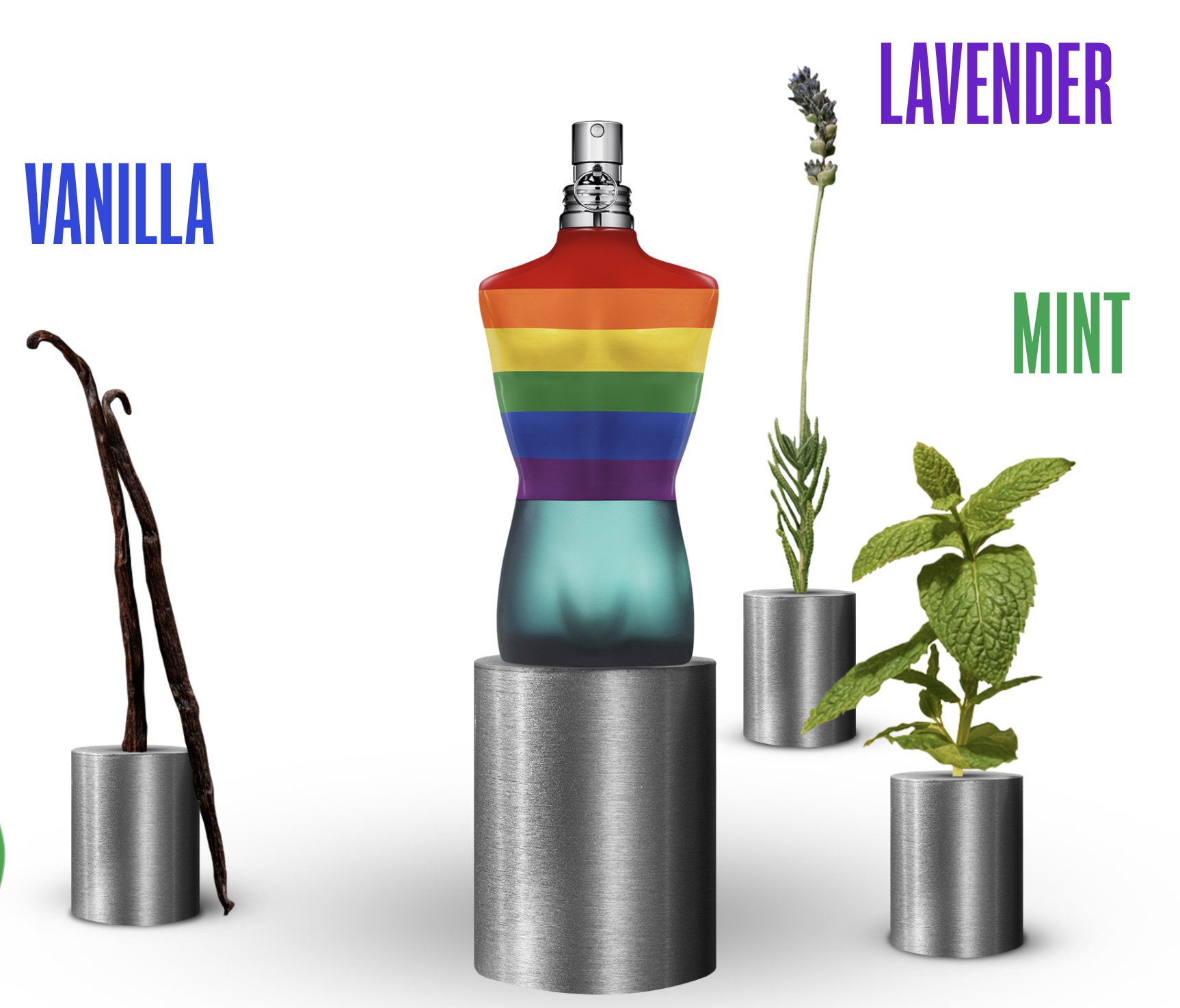 pride collection gautier