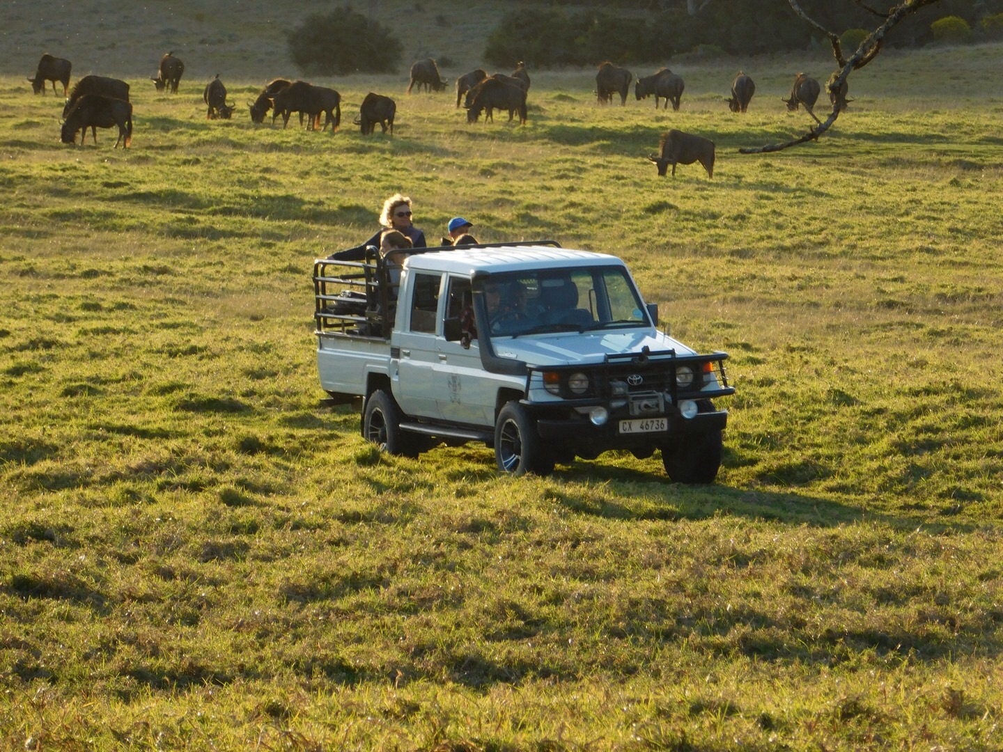 quirky airbnbs africa 1